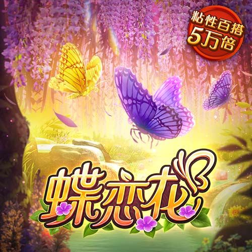 开元595cc官方入口下载