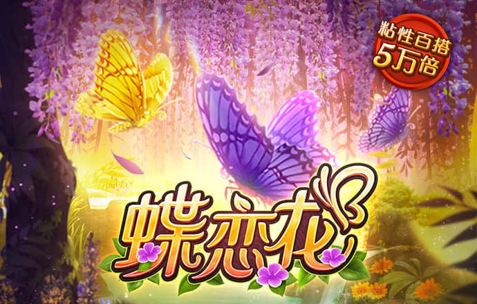 bT体育官网登录入口手机版